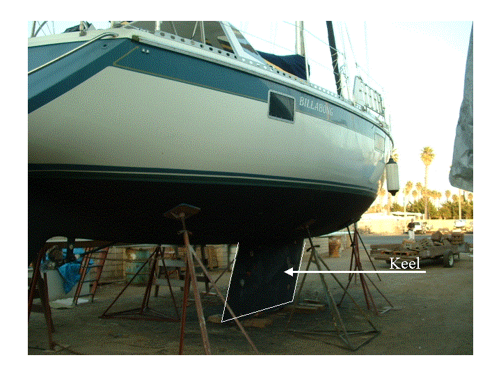 Reporting Assistant for International Nuclear Safeguards